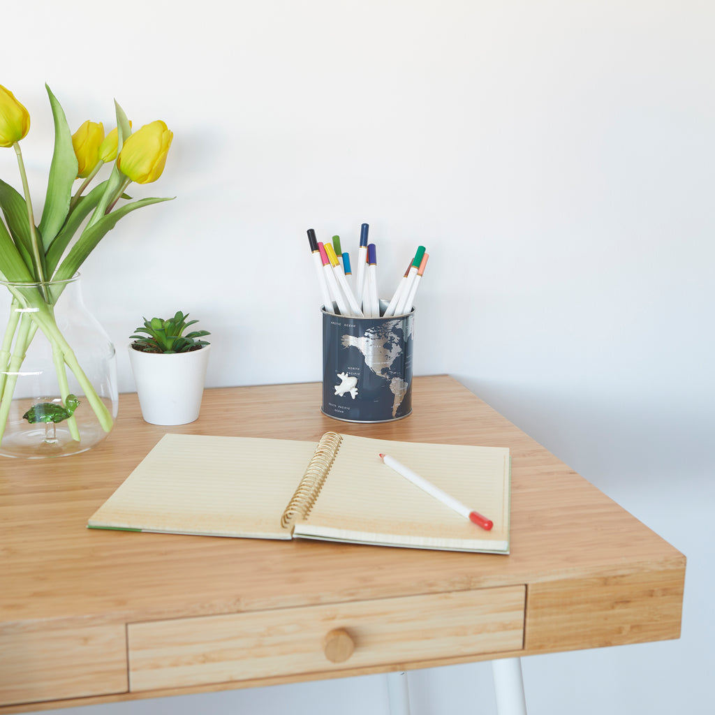 Globe Pencil Holder