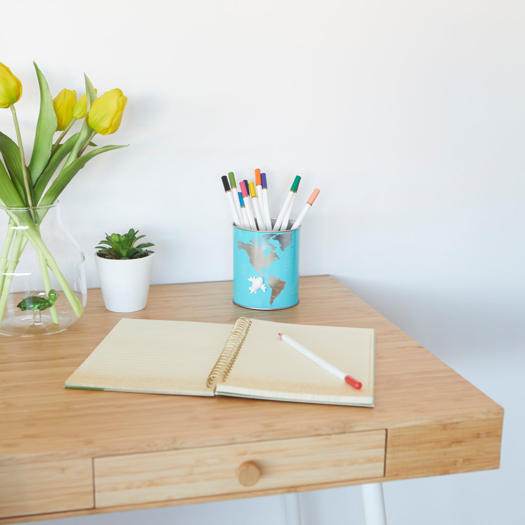Globe Pencil Holder