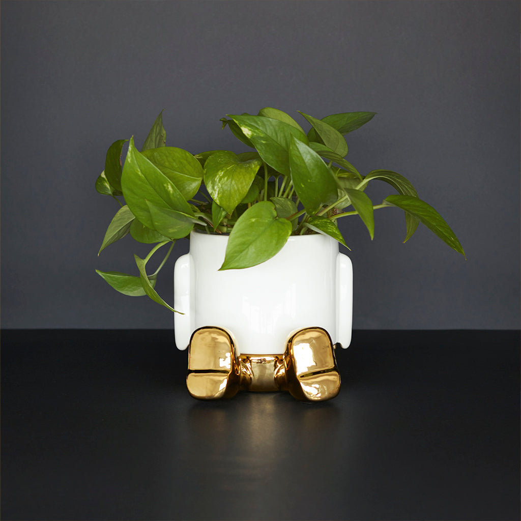 Mr. Sitty Plant Pot