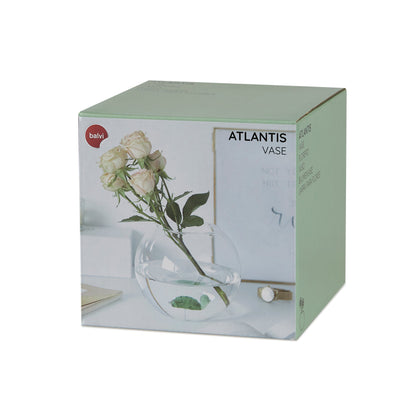 Vase Atlantis Turtle