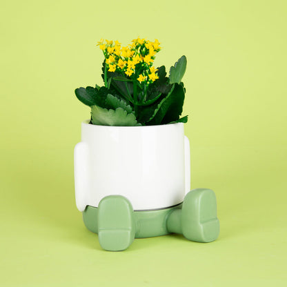Mr. Sitty Plant Pot