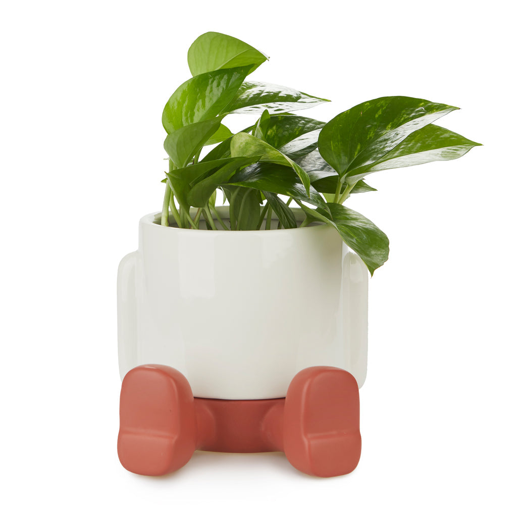 Mr. Sitty Plant Pot