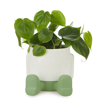 Mr. Sitty Plant Pot