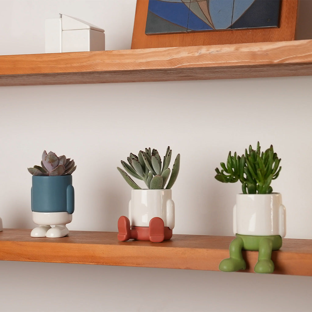 Mr. Sitty Mini Plant Pot