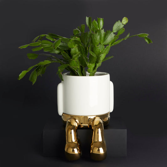 Mr. Dangly Plant Pot