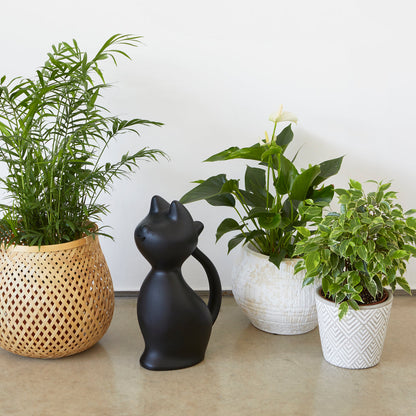 Arrosoir Chat “Meow!”