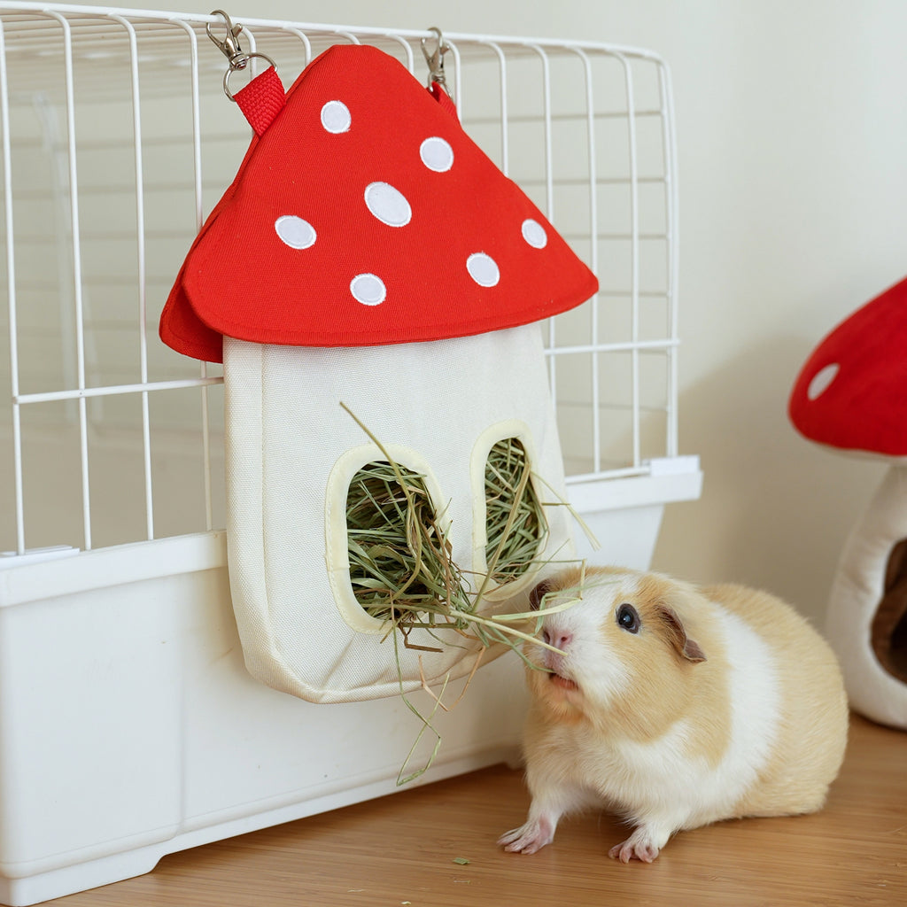 Mushroom Bag
