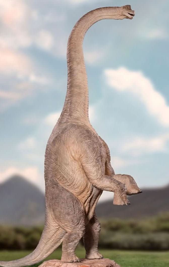 Statue Brachiosaurus - Jurassic Park - Demi Scale 1/20