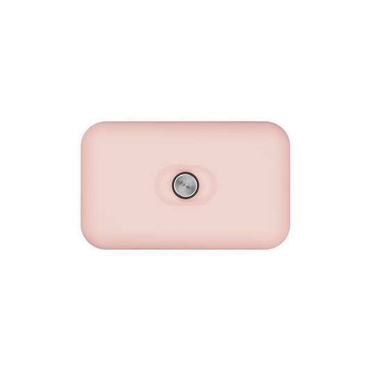 Lunch Box | Dusty Pink