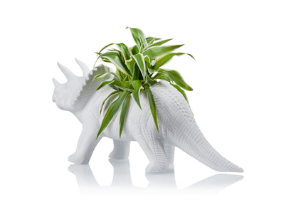 Pot de Fleur Dinosaure Tricérapot