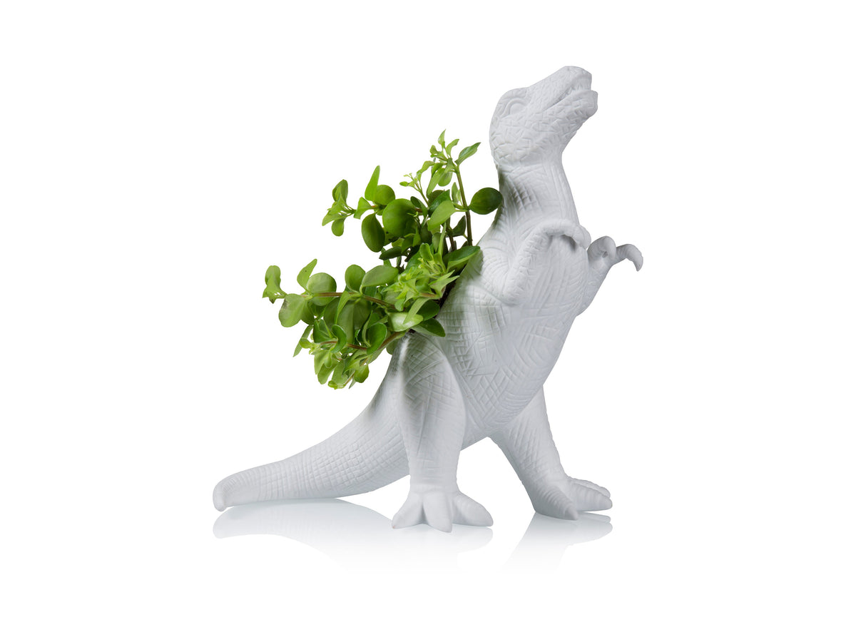 Pot de Fleur Dinosaure Plantosaurus Rex