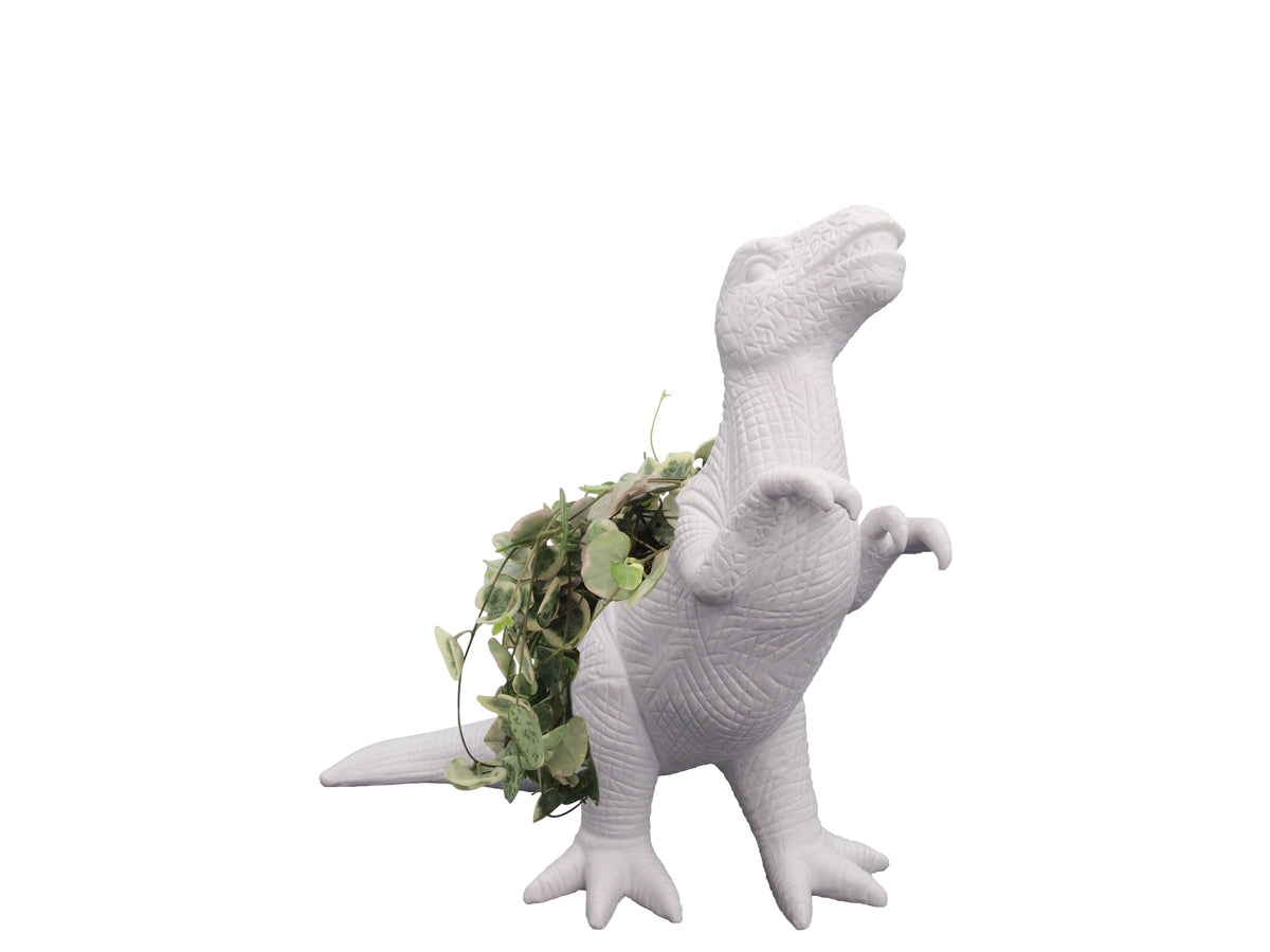 Pot de Fleur Dinosaure Plantosaurus Rex