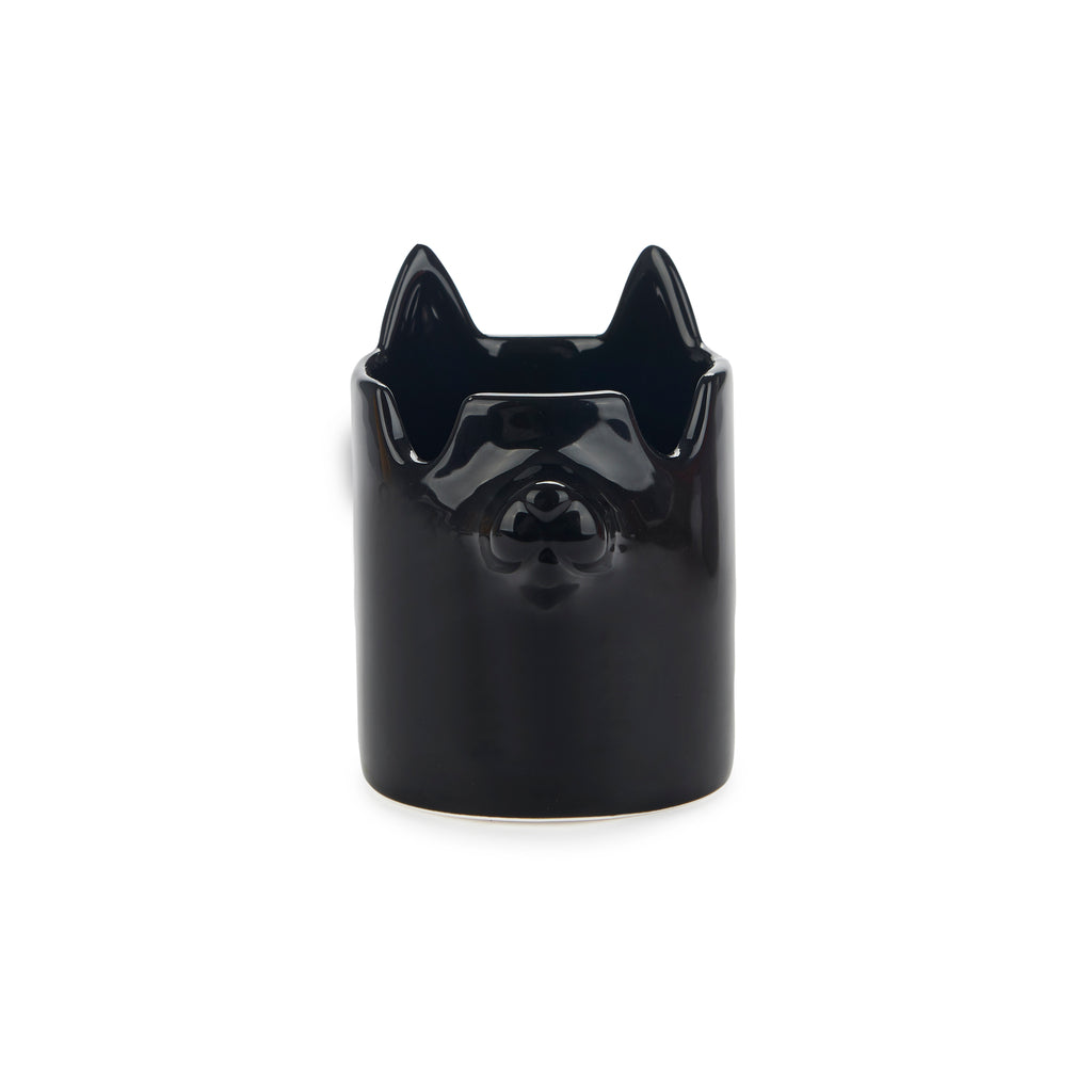 Nosy Buddy Cat Pencil Holder and Glasses Holder