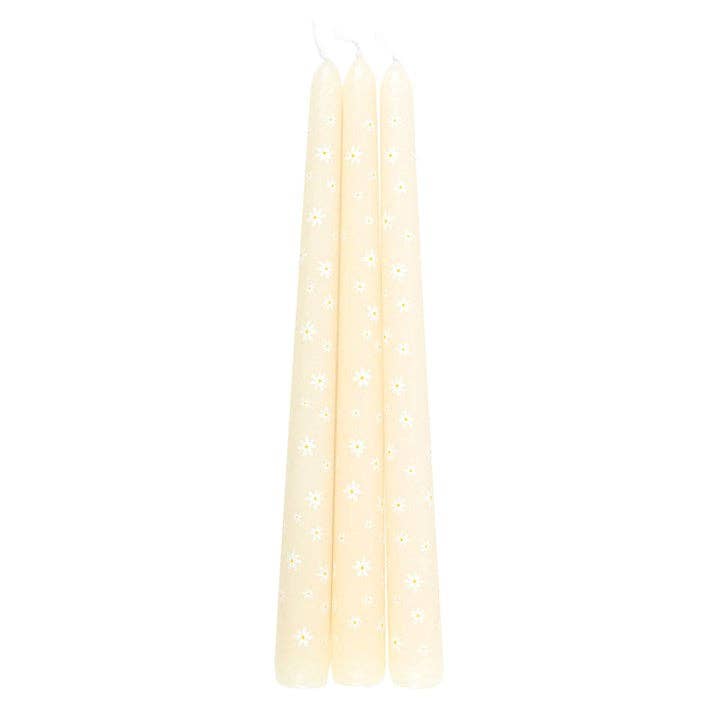 Juego de 3 velas cónicas Carrot Patch White Daisy