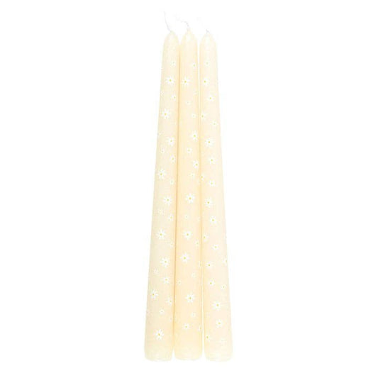 Ensemble de 3 bougies motif Marguerites “Carrot Patch”