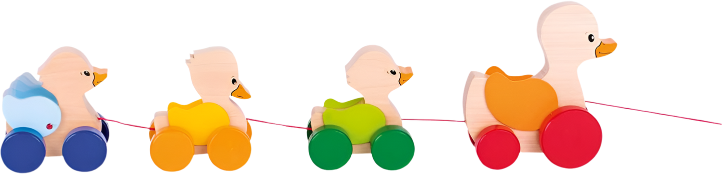 Pull-Along Animal - Large Duck Family