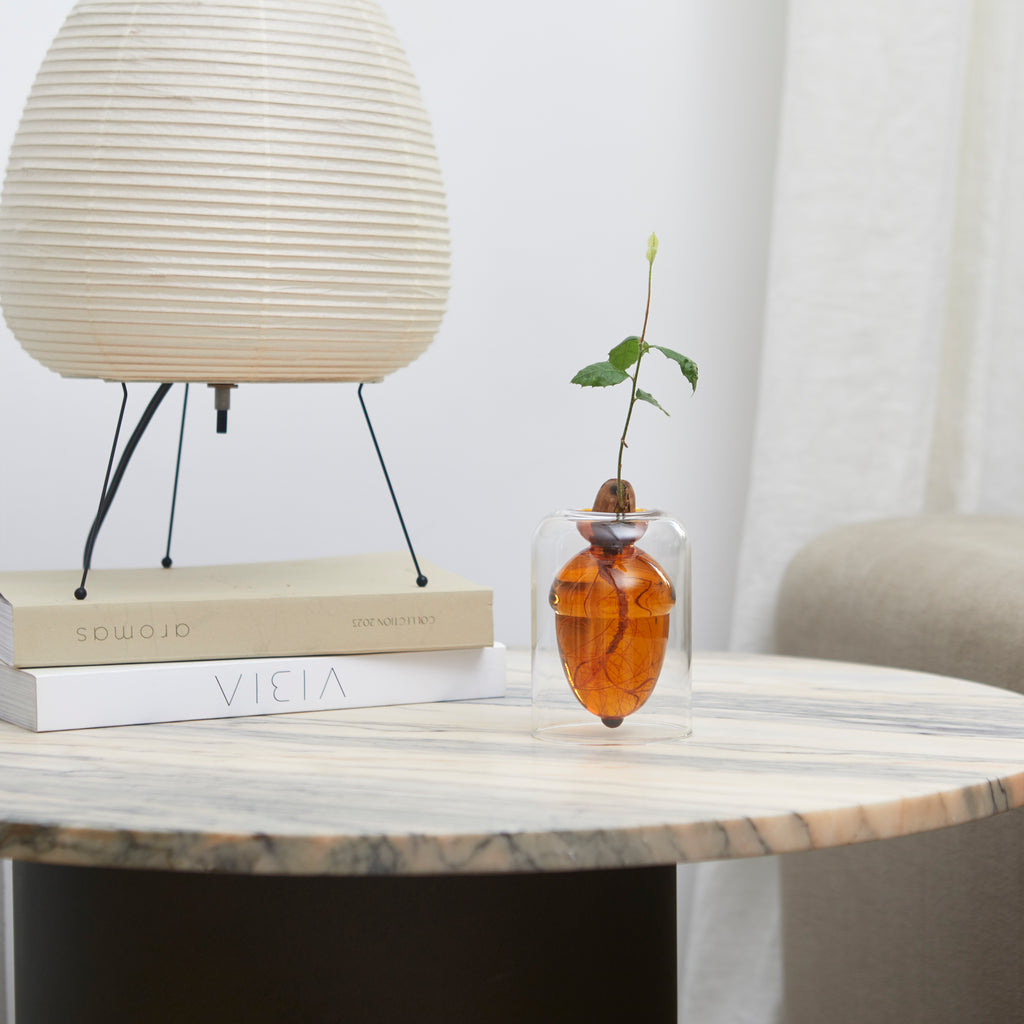 Acorn Vase Seed Grower
