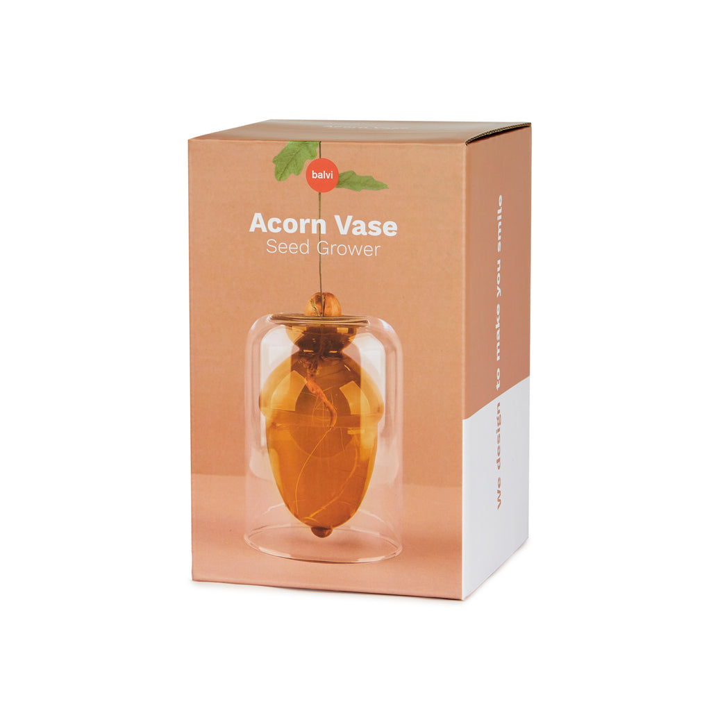 Acorn Vase Seed Grower