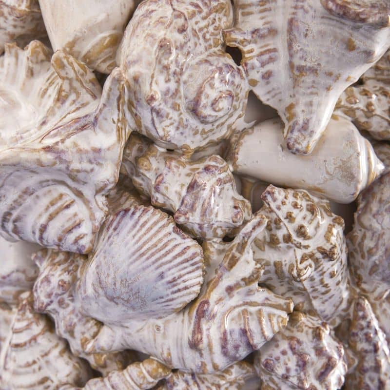 Jarrón de conchas marinas, gres natural L
