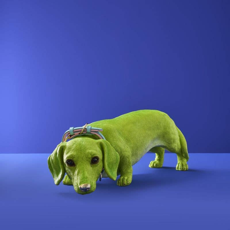 Dachshund Dog Wilfried M. Collar, Green Poly Resin