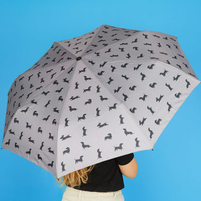 Teckel Umbrella