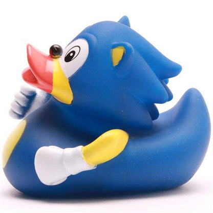 Canard Hérisson Bleu