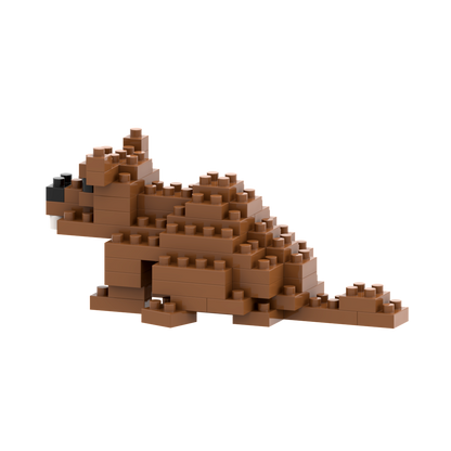 BRIXIES Castor