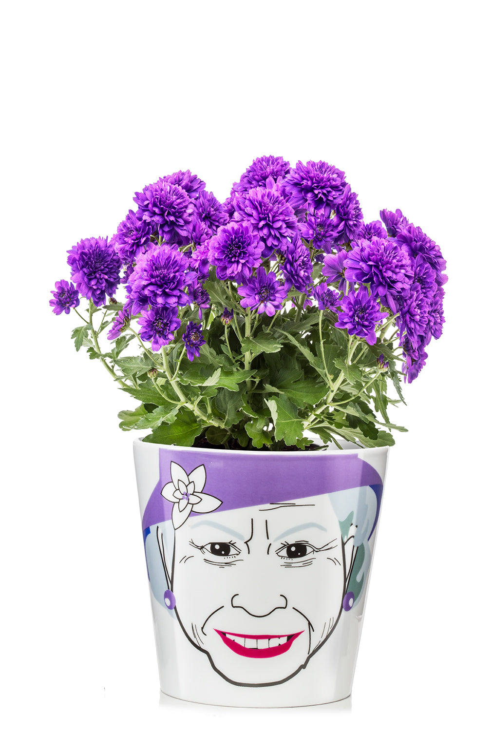 Queen flower pot