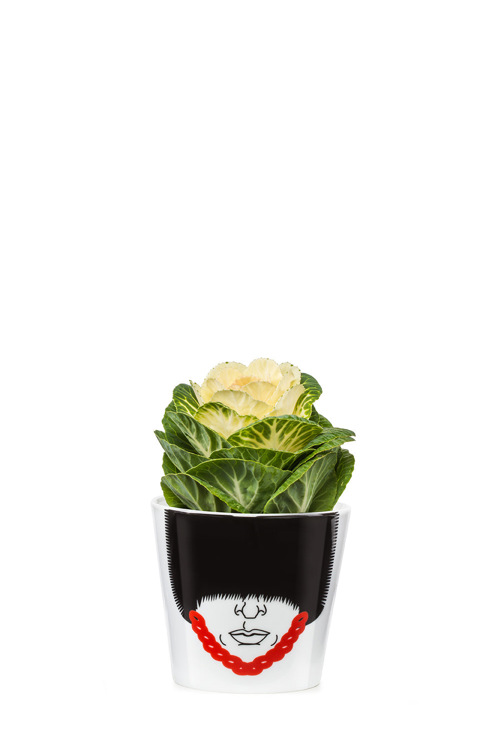 Pot de Fleur Garde Royal