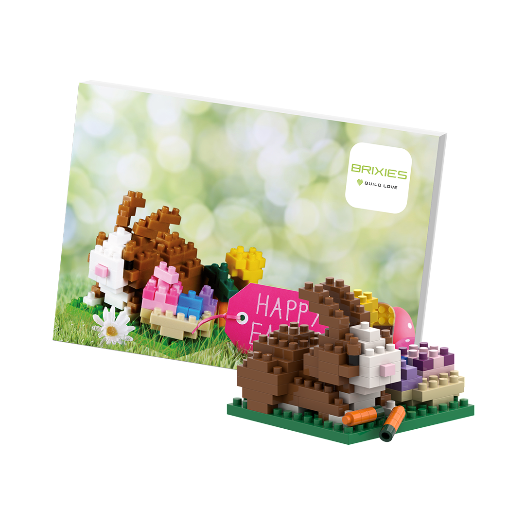 BRIXIES Easter Bunny Postcard