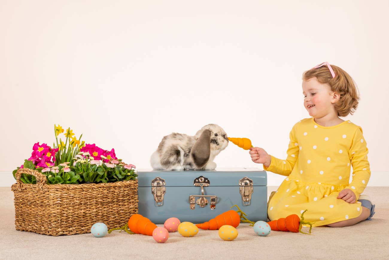 Conejo de peluche Lop gris y blanco