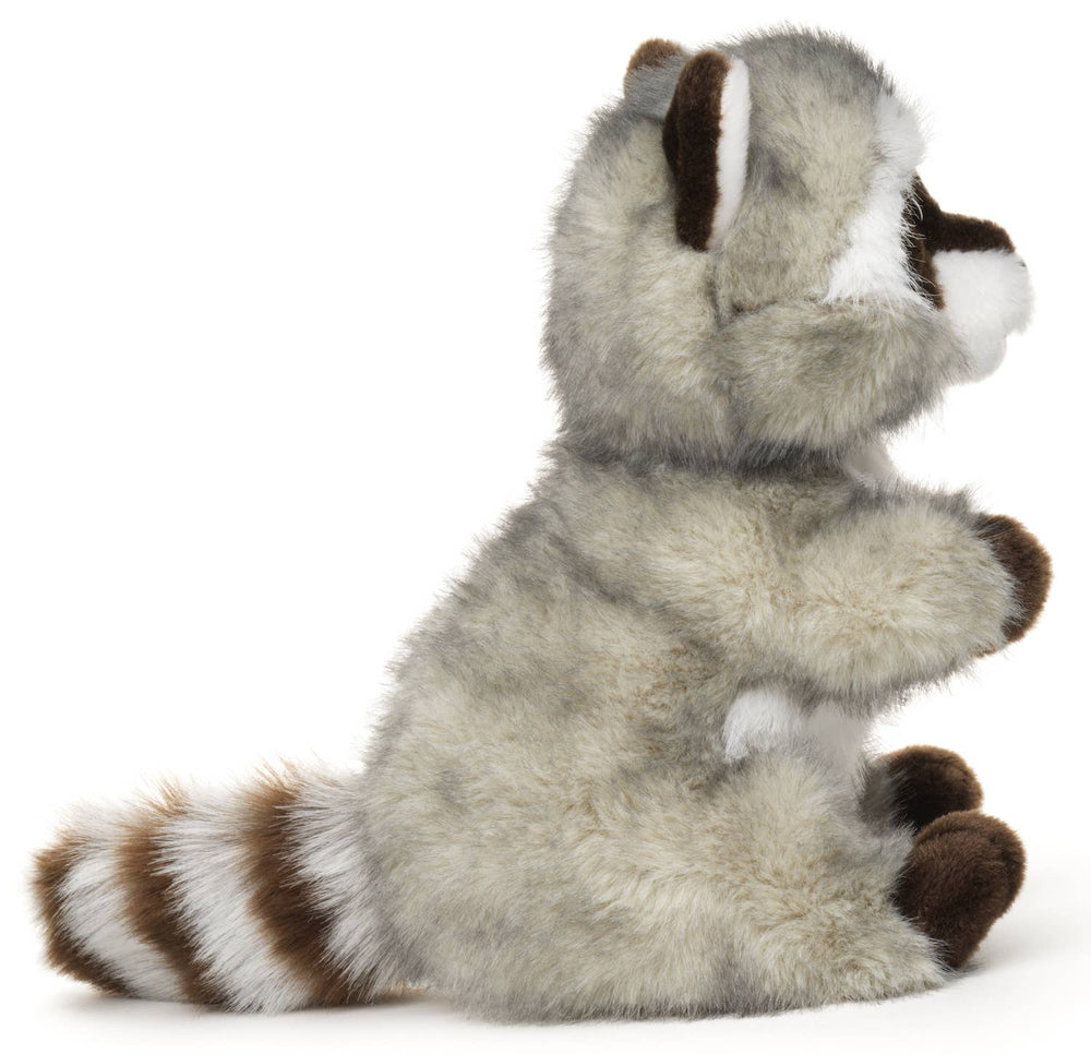 Peluche Raton Laveur