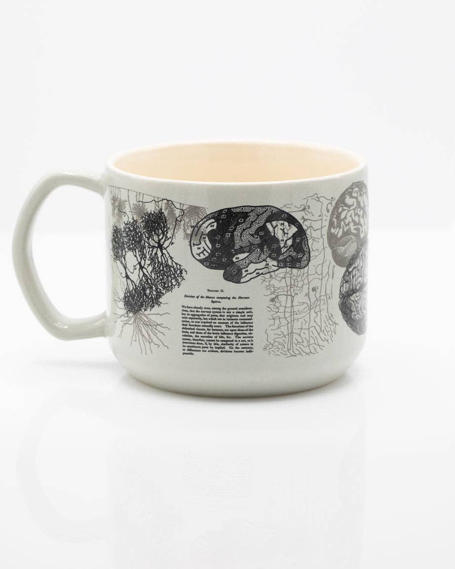 Taza – Cerebro (430 ml)