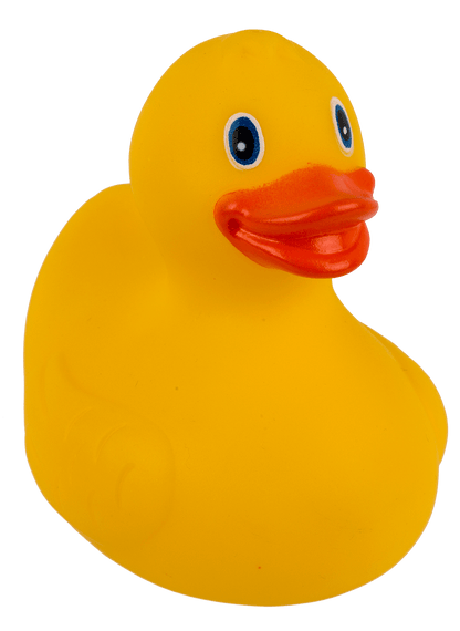 Yellow Squeaking Duck,