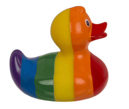 Canard arc-en-ciel – vue 5