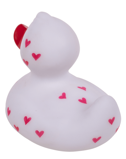 Canard Amoureux – vue 8