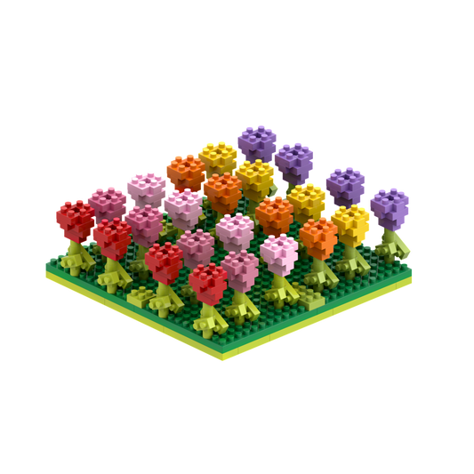 BRIXIES Tulpenfeld