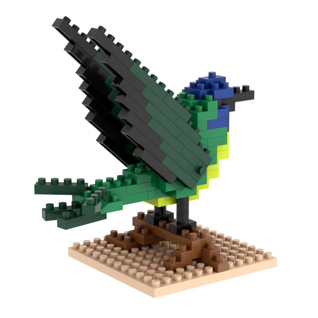 BRIXIES Kolibri
