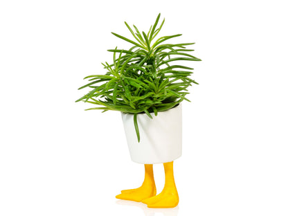 Pot de Fleur Pattes de Canard – Petit