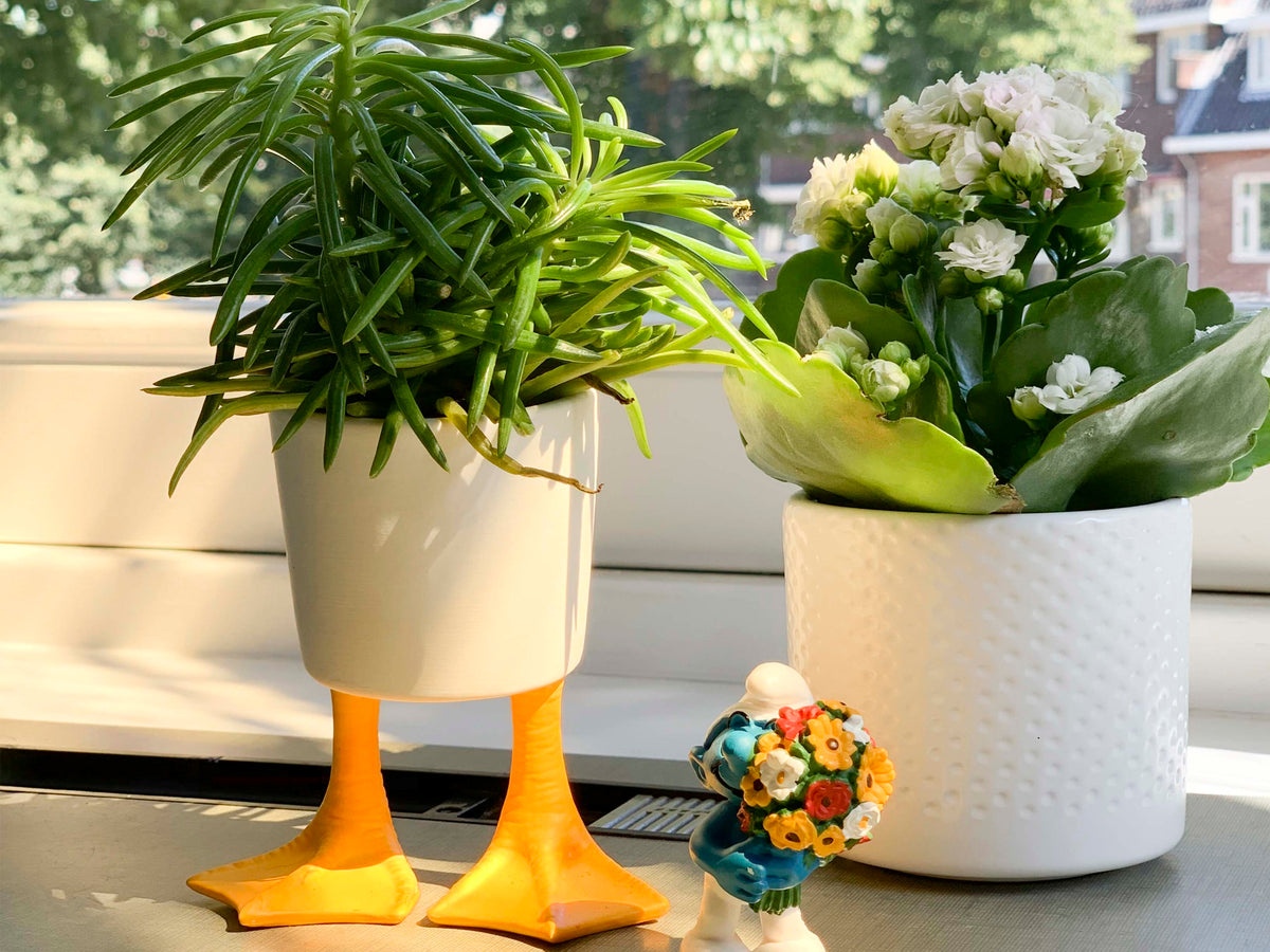 Pot de Fleur Pattes de Canard – Petit