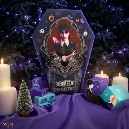 *Wednesday 2024 Deluxe Advent Calendar