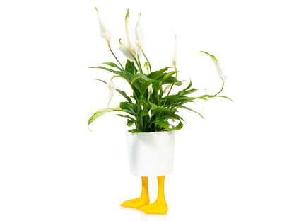 Pot de Fleur Pattes de Canard – Grand