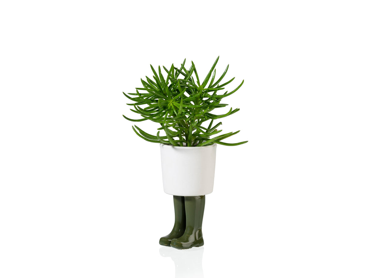 Pot de Fleur Bottes Wellington Vert – Petit
