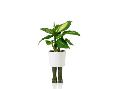 Pot de Fleur Bottes Wellington Vert – Petit
