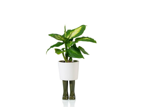 Pot de Fleur Bottes Wellington Vert – Petit – Bitten