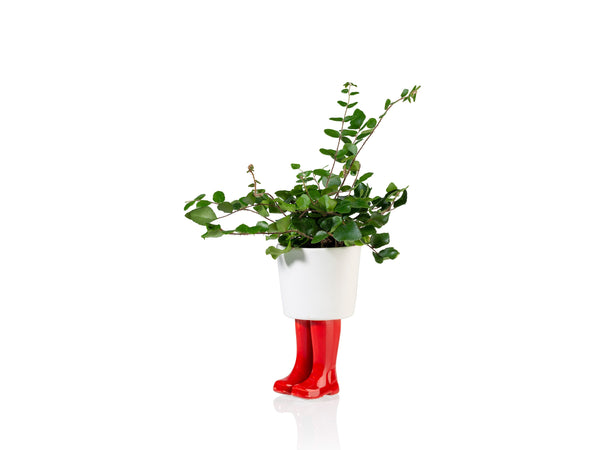 Pot de Fleur Bottes Wellington Rouge – Petit – Bitten