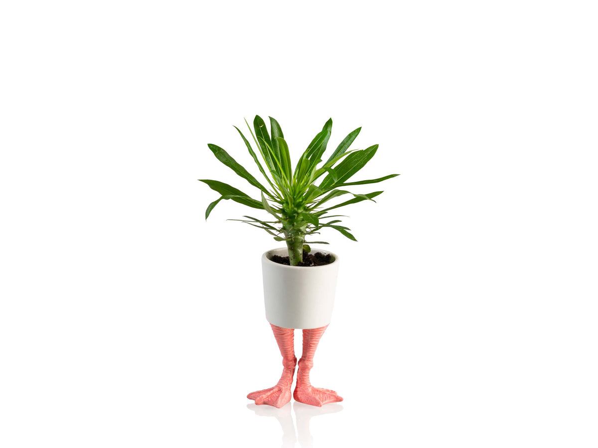 Pot de Fleur Pattes de Flamant Rose – Petit