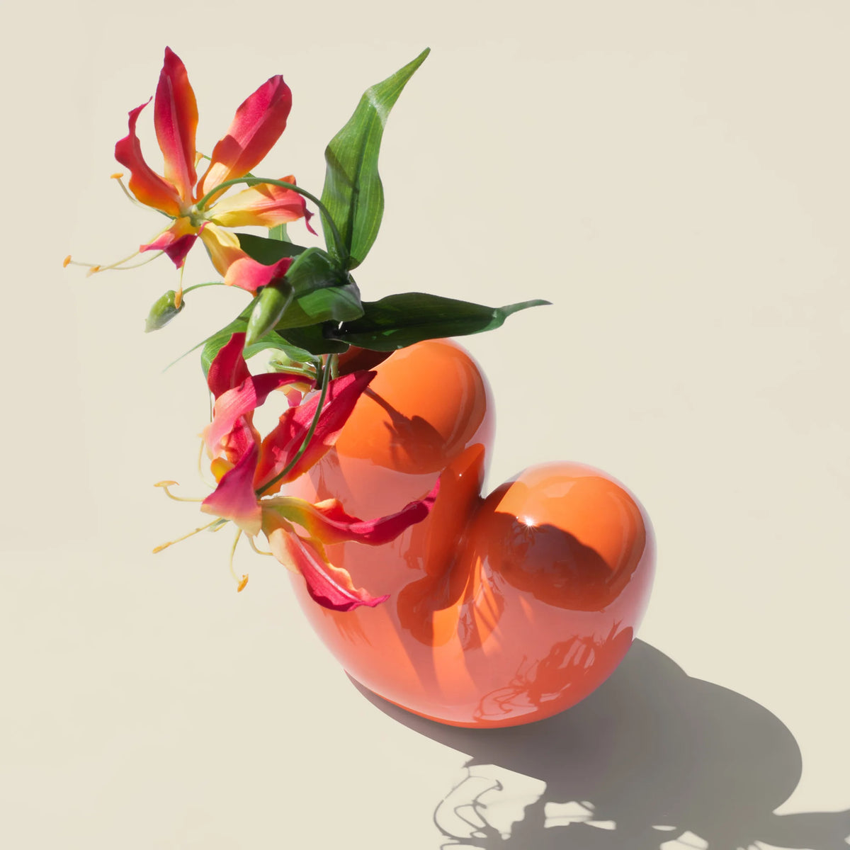Vase Sulcus