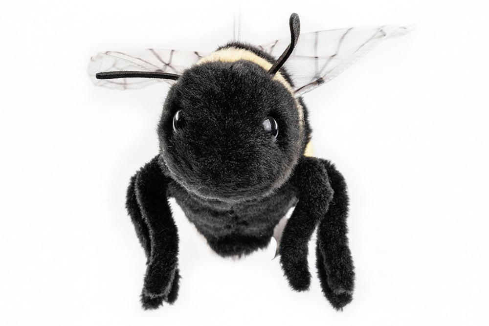 Peluche Bourdon