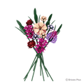BRIXIES Plus Blumenstrauss Wild Romance